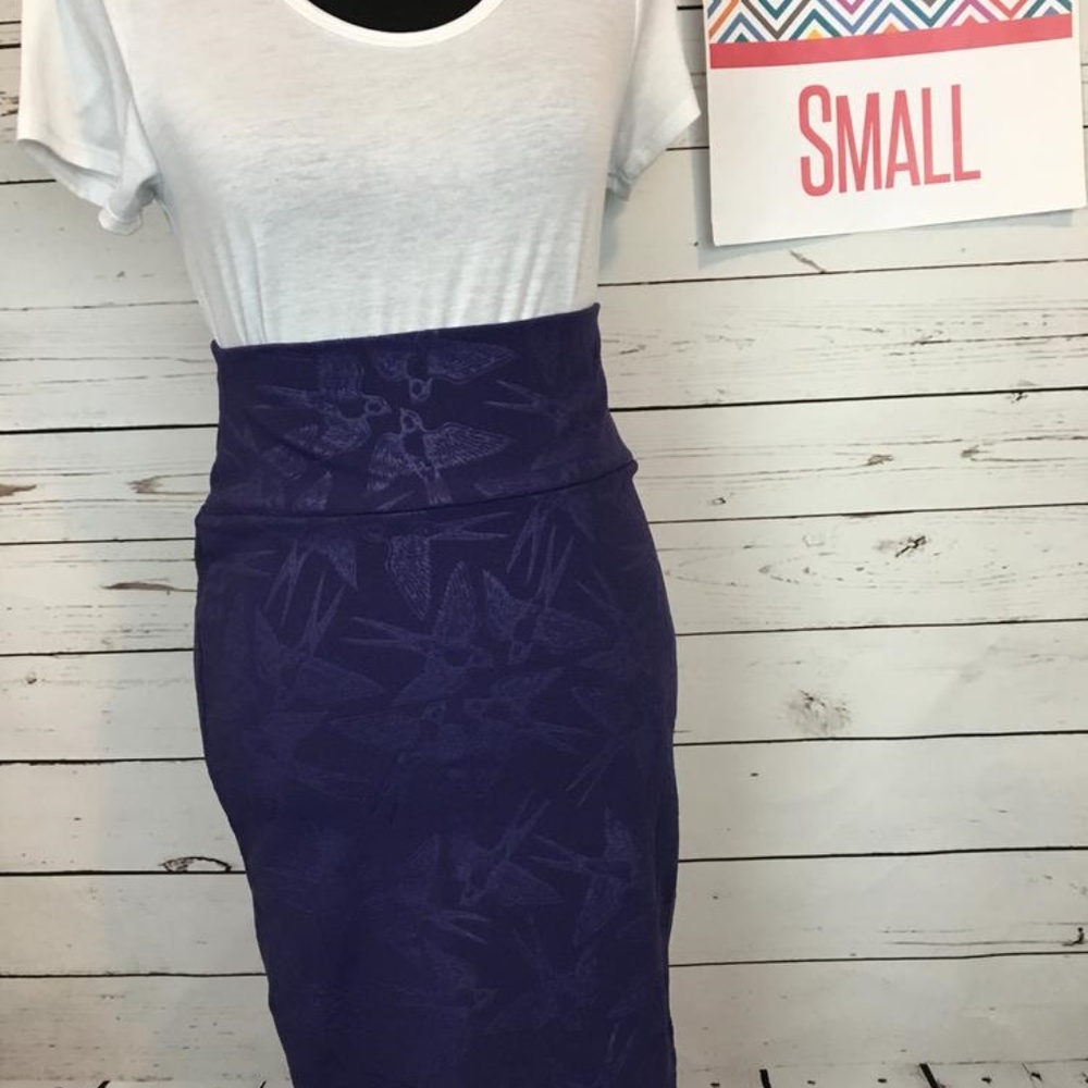 NWT LuLaRoe Cassie Skirt